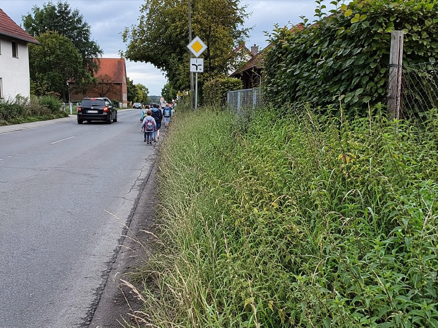 Ungepflgter Grünstreifen